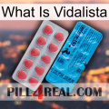 What Is Vidalista new14